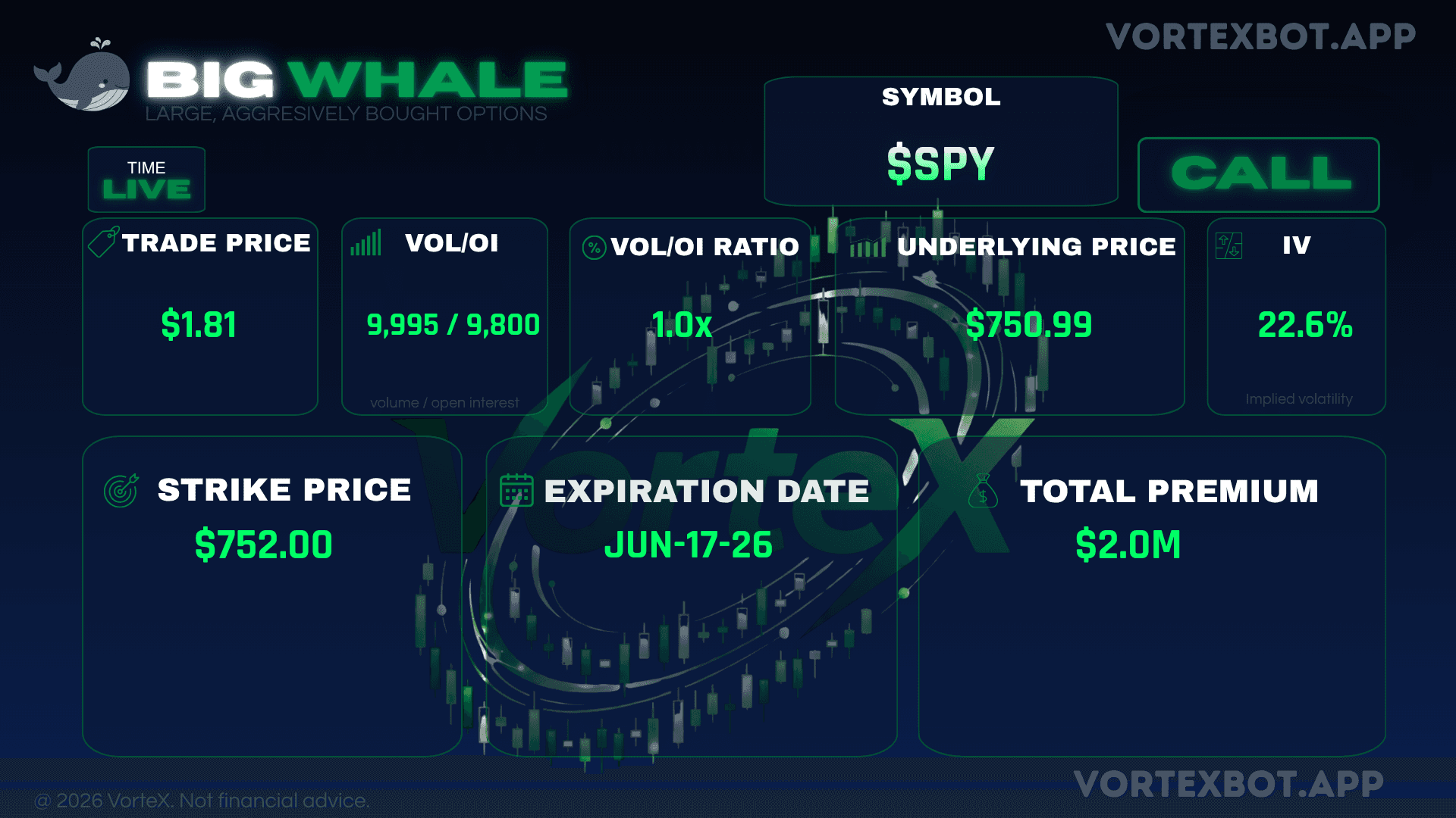 Bullish whales orders